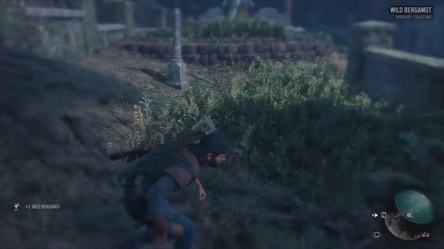 Days Gone PS4 |Hard| 100% Walkthrough 06 (Out of Nowhere) смотреть онлайн