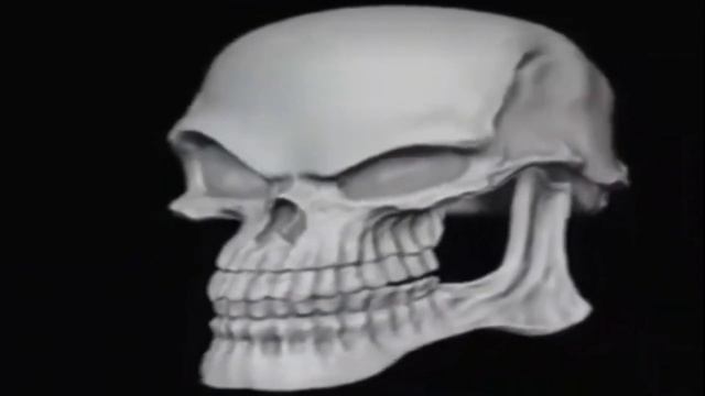 Череп крутится и улыбается , но ускоряется смотреть онлайн