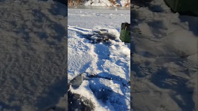 рыбалка на дону 26.12.2021,Иваныч смотреть онлайн