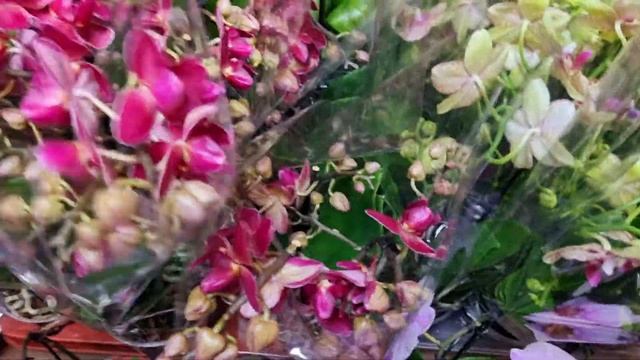 Поставка 22.03.2022 г. Краснодар, отправляем озон и почтой России, ват сап +7 918 033-63-27 Юля смотреть онлайн