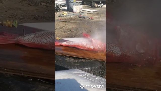 November 22, 2020 смотреть онлайн