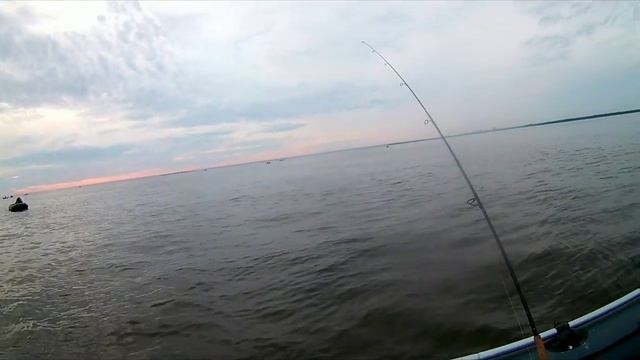 Судак на Финском заливе. Дамба, север. 10.08.2019 смотреть онлайн