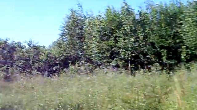 Награды. Кировский район . Могилевская область.(3) смотреть онлайн