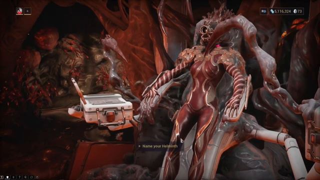 Warframe Helminth System Beginner Guide | Warframe Gameplay смотреть онлайн