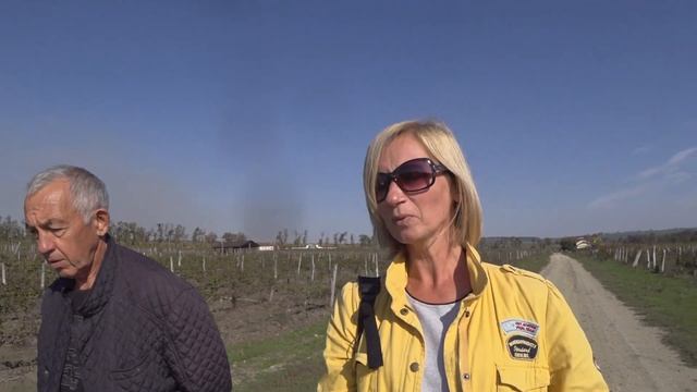 Винный сок, винный уксус и вообще всё винное в Деревне у моря смотреть онлайн