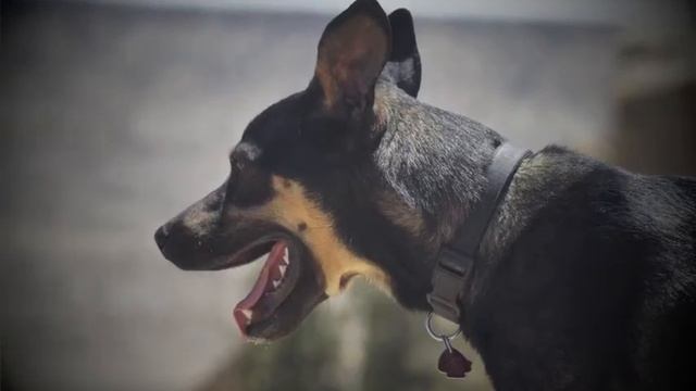 Portraits by adob3brix смотреть онлайн