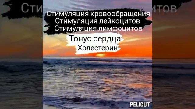 ❤️Матрица Гаряева . смотреть онлайн