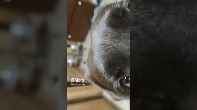 а ты милы мой смотреть онлайн