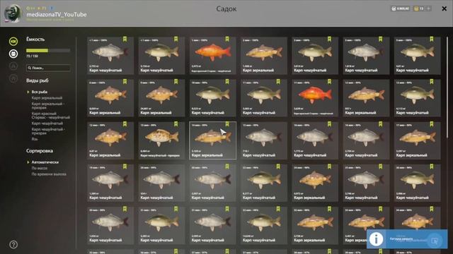 #рр4 оз.Янтарное Карп на Лосось 11.09