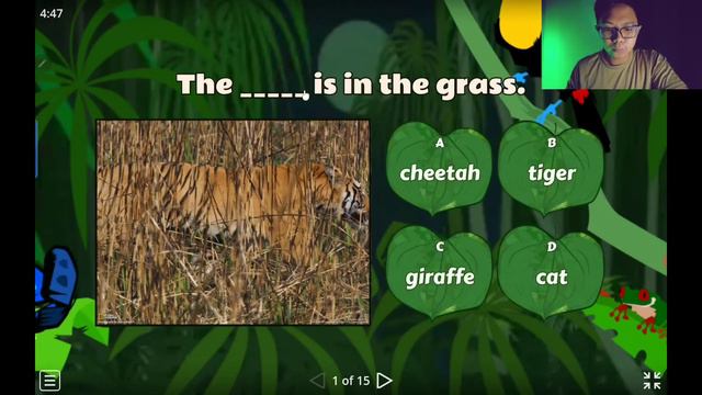 Supermind Year 1 - Unit 3 Pet show - Camouflage (page 42) - Quiz смотреть онлайн