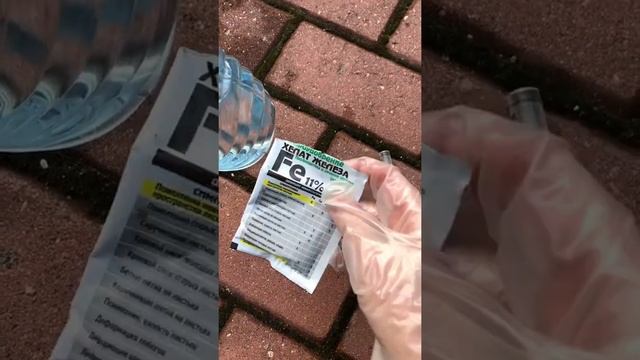 Желтеют листья петунии - первая помощь смотреть онлайн