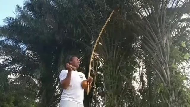 Zum zum zum Zum zum zum Capoeira mata um . смотреть онлайн