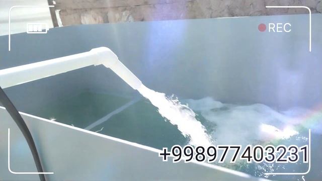 SHIMGE DAN AJOYIB VIDEO 16SOTIXDA 28 октября 2022 г.