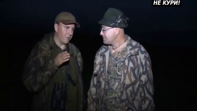 Селекционный отстрел благородного оленя в прибалтике - 2021г смотреть онлайн