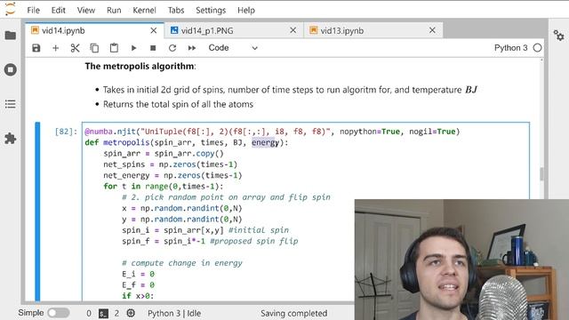 The Ising Model in Python: Statistical Mechanics and Permanent Magnets смотреть онлайн
