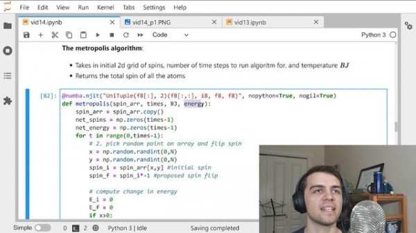 The Ising Model in Python: Statistical Mechanics and Permanent Magnets