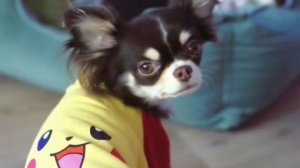 Юми Чу (Покинула чат)