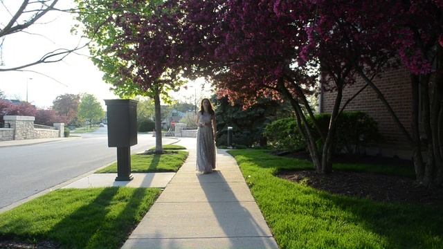 Роберт Рождественский «Все начинается с любви». Дога Вальс из к/ф «Мой ласковый и нежный зверь» смотреть онлайн