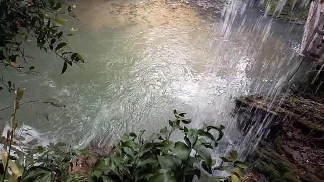 Абхазия отдых на море жилье на море черниговка водопады кавказская кухня смотреть онлайн