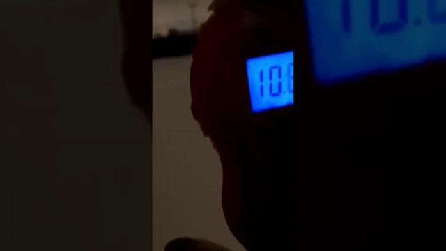 В Питере рыбак поймал гигантского судака. Вес 11кг, длина - целый метр. смотреть онлайн