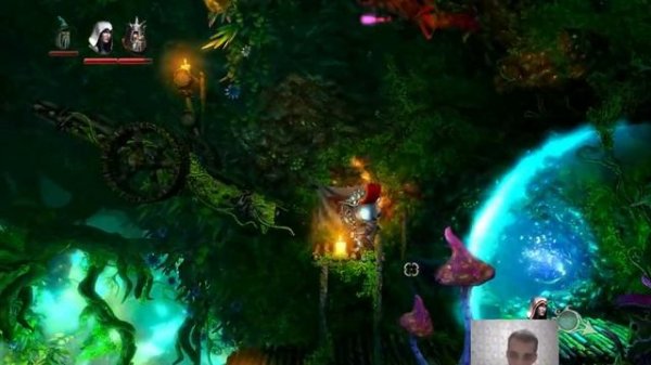 Trine 2 - Vol.2: Играем с мелким в самый лучший платформер