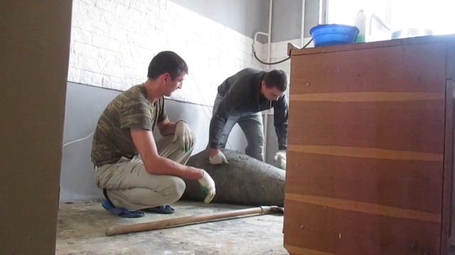 Ремонтная Интрига