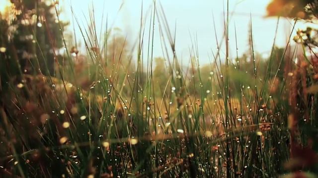 Краткое содержание фильма "ДОМ" (В. ИОНИС) смотреть онлайн