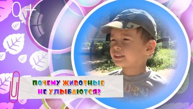 Наши малыши. Почему черепахи долго живут? смотреть онлайн