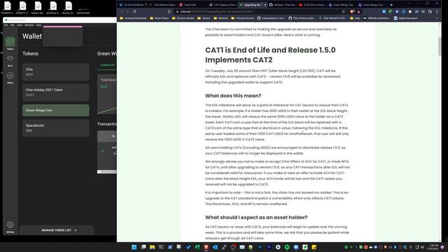 Chia Exploit in CAT Code Caught! What you NEED to know. смотреть онлайн