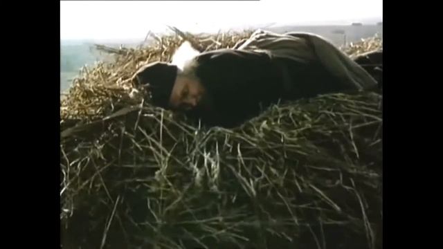 Литературный портрет «Очарованный странник»: 190 лет со дня рождения писателя Н. С. Лескова. смотреть онлайн