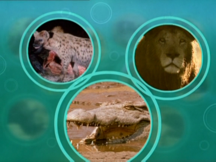 Ребятам о зверятах (All about Animals) смотреть онлайн