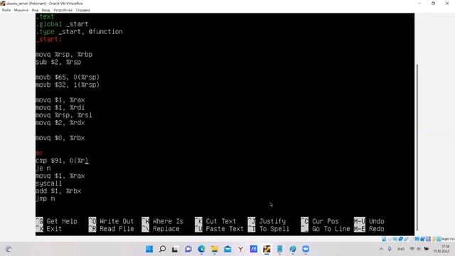 GNU Assembler X64. Цикл