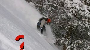 1  Вынужденная автономия в природе