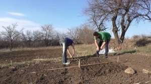 ? Как сделать мини-парник своими руками ? Выращивание рассады и овощей по технологии Гордеевых