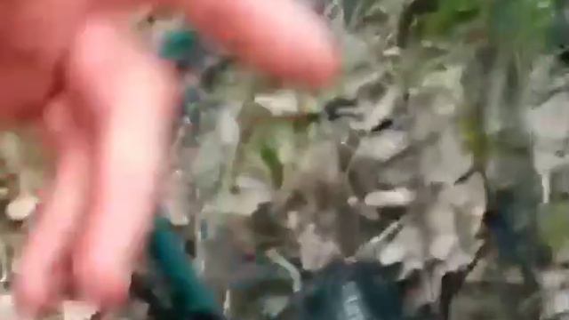 ТРОФЕЙНЫЙ СУДАК НА ПОПЛАВОК !