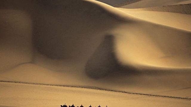 Заур Магомадов -- Идёт караван из Ирана смотреть онлайн