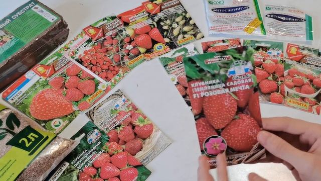 Обзор семян клубники на 2021 год. Земляника садовая ремонтантная. смотреть онлайн