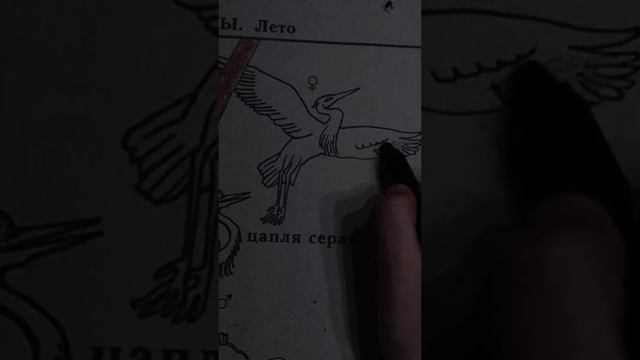 НОВАЯ РУБРИКА!!! Рисую в БОЛЬШОМ Альбоме смотреть онлайн