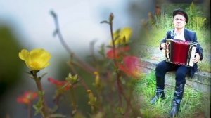 Гармошка ☀️ Красивая песня под гармонь о жизни, любви и разлуке ╰❥ Russian folk song╰❥ Играй гармон