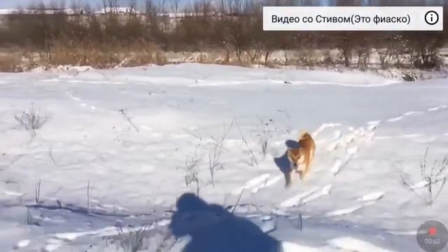 ЧТО - ЖЕ ТАКОЕ ФИАСКО?! | [ВИДОСИК ПРО ТОП МЕМ ТОЖЕ У МЕНЯ ] смотреть онлайн