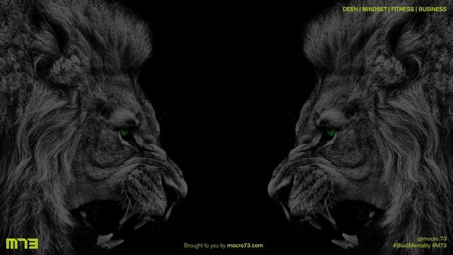 Nasheed GYM Playlist Abu Ali Edition - Nasheeds for Training - Abu Ali Nasheed Playlist (NO MUSIC!) смотреть онлайн