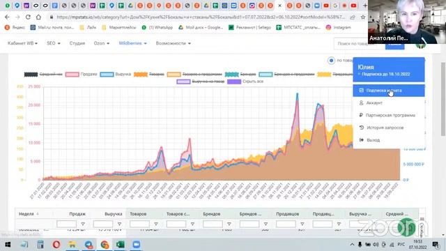 Вебинар PLACE заработай на черную пятницу смотреть онлайн