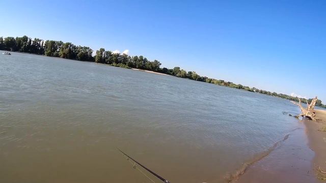 Жерех на реке Кубань смотреть онлайн