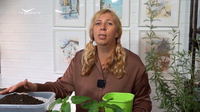 Строительные Сюжеты