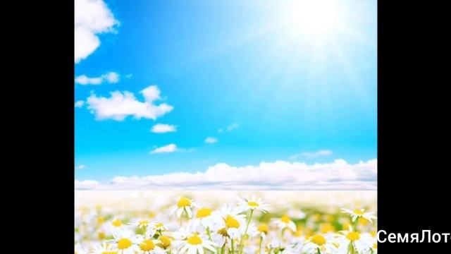 The Untamed// Xue Yang & Xiao Xingchen// День, ночь// Ангел и Демон// смотреть онлайн