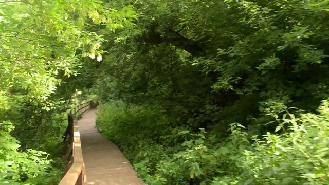 Прогулка у реки Яуза