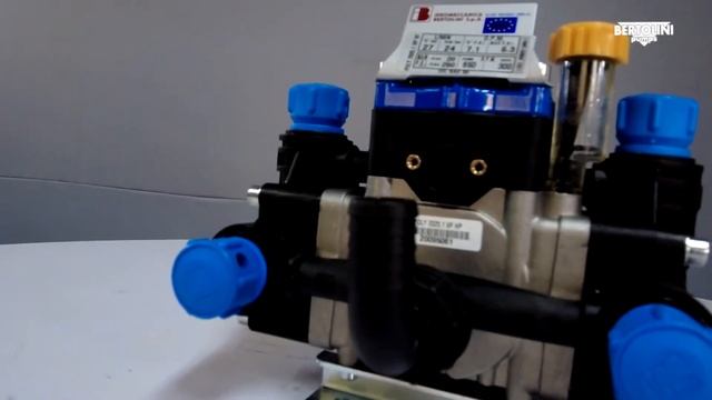 BOMBAS DE DIAFRAGMA BERTOLINI PUMPS - LÍNEA POLY 2025 / FABRICADAS EN ITALIA (EN ESPAÑOL) смотреть онлайн