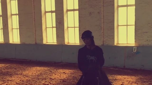 Алана Мамаева на коне смотреть онлайн