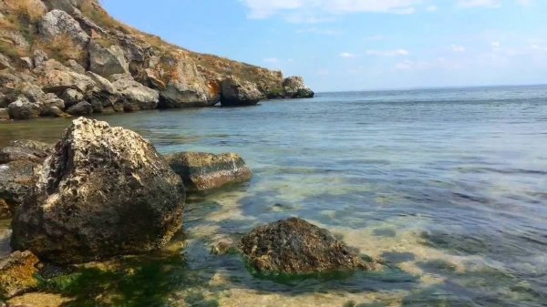 Syntheticsax - Breeze