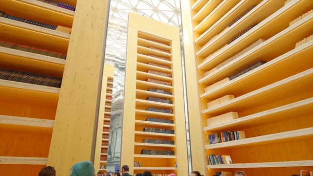 Образовательная программа Всемирного фестиваля молодёжи смотреть онлайн